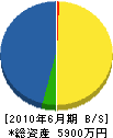 タイセイ産業 貸借対照表 2010年6月期