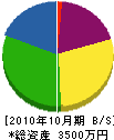 泰久設備工業 貸借対照表 2010年10月期