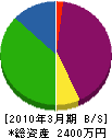 龍樹興産 貸借対照表 2010年3月期