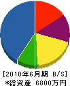 小柳津造園 貸借対照表 2010年6月期
