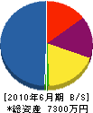 尾瀬建設 貸借対照表 2010年6月期