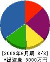 堀江板金工業 貸借対照表 2009年6月期