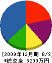 天草開発 貸借対照表 2009年12月期