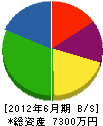 菊南工業 貸借対照表 2012年6月期