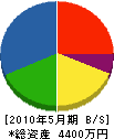 伊藤建設 貸借対照表 2010年5月期