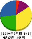 沖縄丸和 貸借対照表 2010年5月期