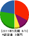 長谷川電機 貸借対照表 2011年5月期
