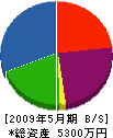 内田建設 貸借対照表 2009年5月期
