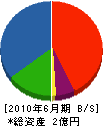 渡辺塗料 貸借対照表 2010年6月期