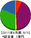 津田建設工業 貸借対照表 2011年6月期