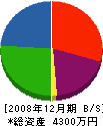 藤田電工 貸借対照表 2008年12月期