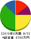 豊島電工 貸借対照表 2010年8月期
