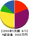 田上工業 貸借対照表 2008年5月期