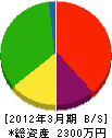 大王工業 貸借対照表 2012年3月期