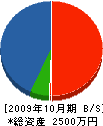 山一電気 貸借対照表 2009年10月期