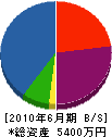 淡路 貸借対照表 2010年6月期