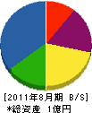 大島グリーン開発 貸借対照表 2011年8月期