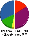 東九州産業 貸借対照表 2012年1月期