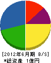 岡村吉建設 貸借対照表 2012年6月期
