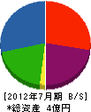 大川工業 貸借対照表 2012年7月期