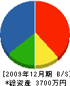 石川造園土木 貸借対照表 2009年12月期