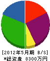 明伸工業 貸借対照表 2012年5月期