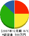 武田塗装 貸借対照表 2007年12月期