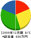 生井沢建設 貸借対照表 2009年12月期