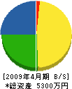 大熊電機 貸借対照表 2009年4月期