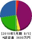 寺山商会 貸借対照表 2010年5月期