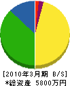 三嶋建設 貸借対照表 2010年3月期