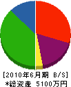 樋ノ口建設 貸借対照表 2010年6月期