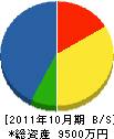 坂井建設 貸借対照表 2011年10月期