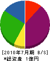 國＊組 貸借対照表 2010年7月期