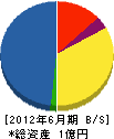 戸塚工務店 貸借対照表 2012年6月期
