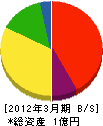 大竹電気工事店 貸借対照表 2012年3月期