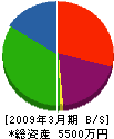 石野テント 貸借対照表 2009年3月期