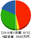 松川石店 貸借対照表 2010年3月期