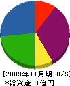 柴田工務店 貸借対照表 2009年11月期
