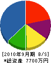 沢田電気 貸借対照表 2010年9月期