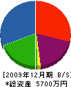 相馬塗装店 貸借対照表 2009年12月期