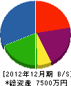 松尾建設 貸借対照表 2012年12月期