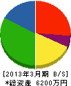 関川設備工業 貸借対照表 2013年3月期