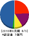 シンキ・コーポレーション 貸借対照表 2010年6月期