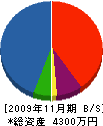 フジ工業 貸借対照表 2009年11月期