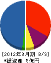 川嶋工業 貸借対照表 2012年3月期