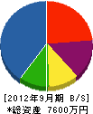 大嶋電機工業 貸借対照表 2012年9月期