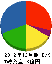 丸三商事工業 貸借対照表 2012年12月期