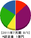 國＊組 貸借対照表 2011年7月期