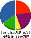 千葉燃料店 貸借対照表 2012年3月期